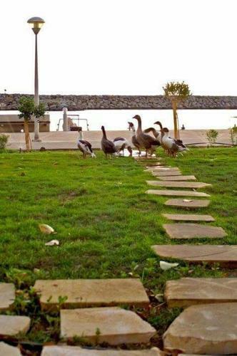 Pyrgiana Beach Hotel