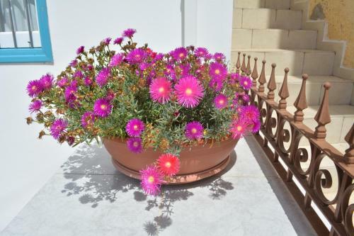 Agroturismo I Plateia