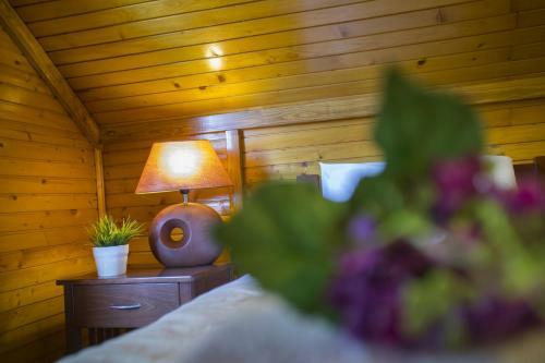 Ricky Chalet Near Troodos