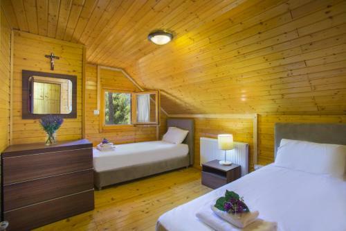 Ricky Chalet Near Troodos