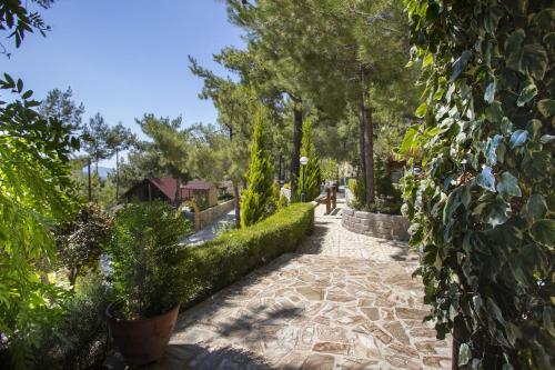 Ricky Chalet Near Troodos