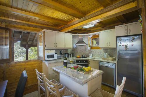 Ricky Chalet Near Troodos