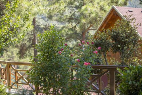 Ricky Chalet Near Troodos