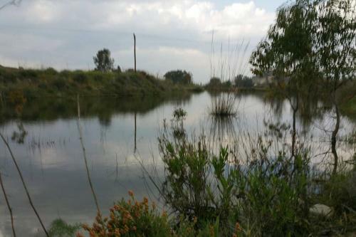 Traditional House 20km From Nicosia