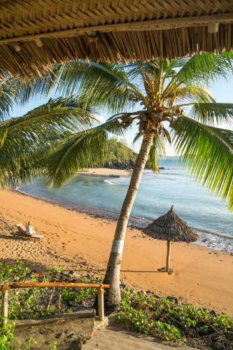 Moheli Laka Lodge
