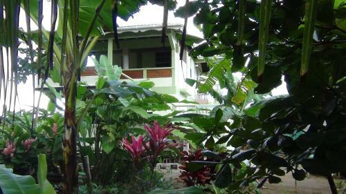 Nixon's Bayside Mangrove Inn/villa