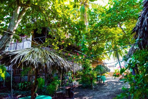 Hotel Palapa Cabins