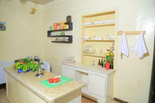 Hotel Parrot Guest House