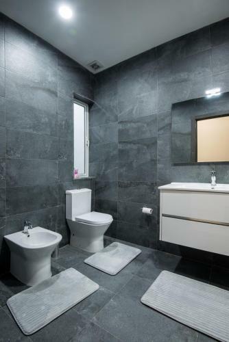 Luxury Apartment