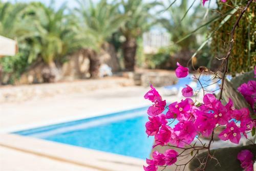 Villa Bezitt Holiday Home