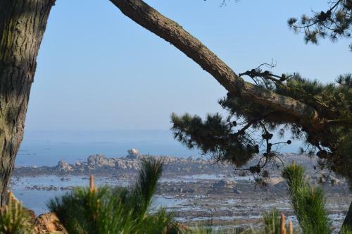 Camping De La Baie De T�r�nez