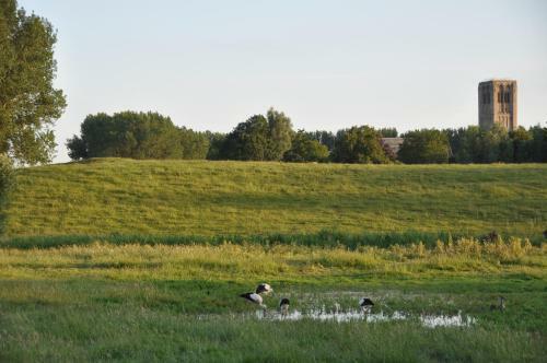 B&B 't Verloren Schaap