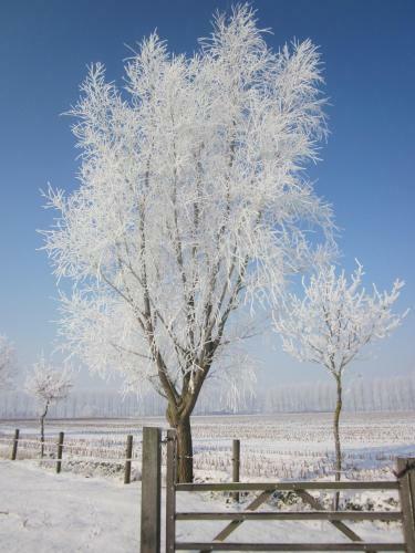 B&B 't Verloren Schaap