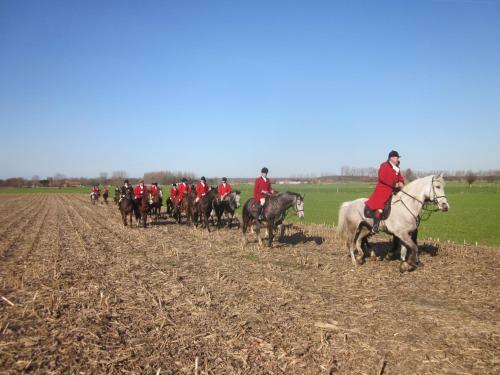 B&B 't Verloren Schaap