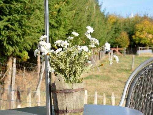 Quaint Cottage In Bullingen With Terrace