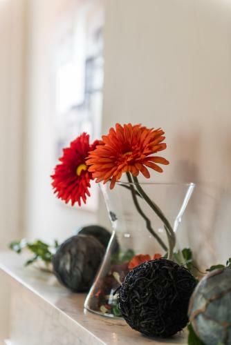 Bed & Breakfast De Perenboom