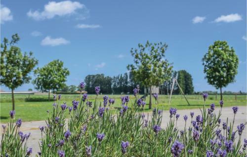 Molenhoek
