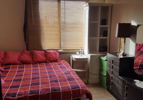 Large Room In Centercity
