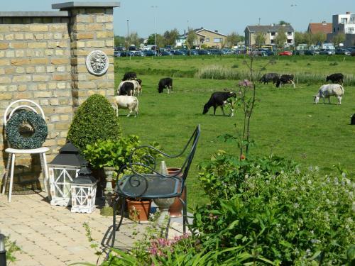 B&B Het Zilte Zand