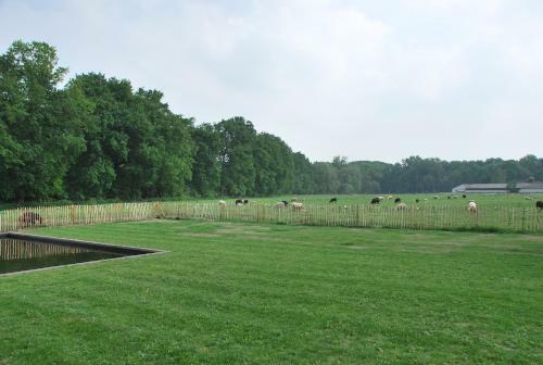 B&B De Dulle Koe