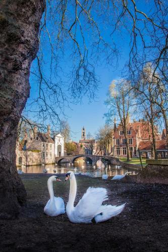 Radisson Blu Hotel, Bruges