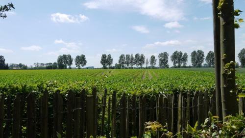 B&B Hemel & Haard
