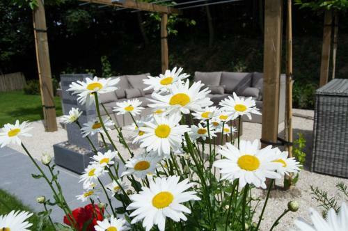 Alegr�a B&B