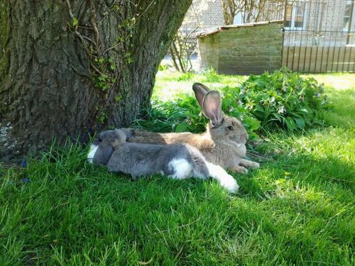 B&B Het Schali�nhof
