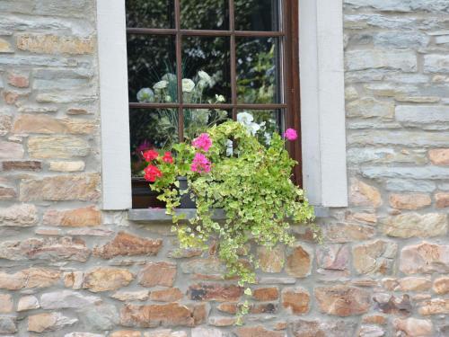 Spacious Holiday Home In Vaux-sur-sure With Garden