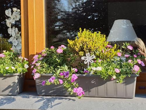 Spacious Holiday Home In Vaux-sur-sure With Garden