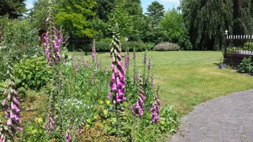 B&B Kasteel De Windt