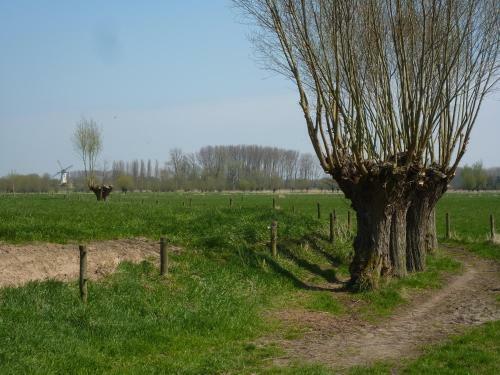 B&B De Meetjes