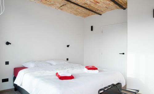 Vakantiewoning 't Baertshof - Passendale (br�gge)