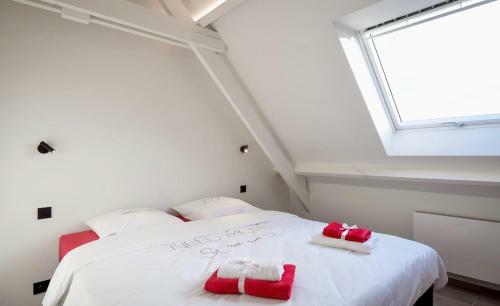 Vakantiewoning 't Baertshof - Passendale (br�gge)