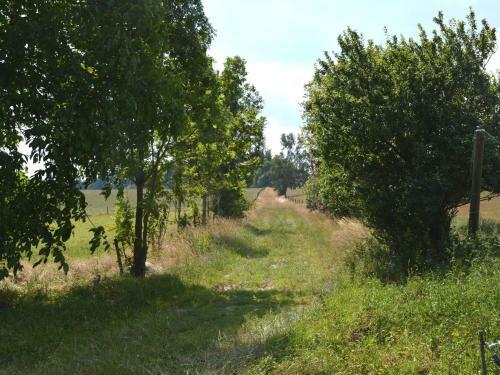 Comfortable Farmhouse In Gedinne Near The Forest