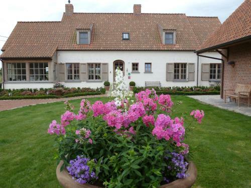 B&B 't Hof Van Spiere