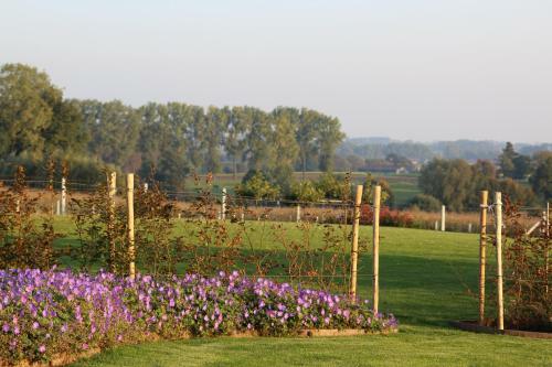 Bed & Breakfast Cafcauter