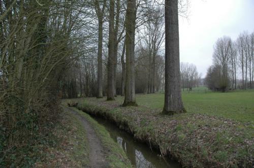 B&B Bedlehem