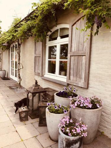 B&B Nachteneel