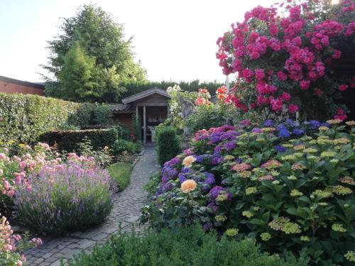 Bed & Breakfast La Rose