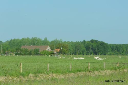 Apartamentos Luttelkolen