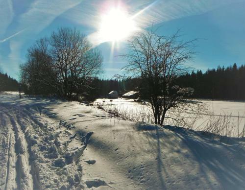 Hotel Schr�der