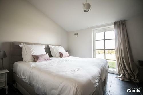 Bed & Breakfast Biga Hoeve