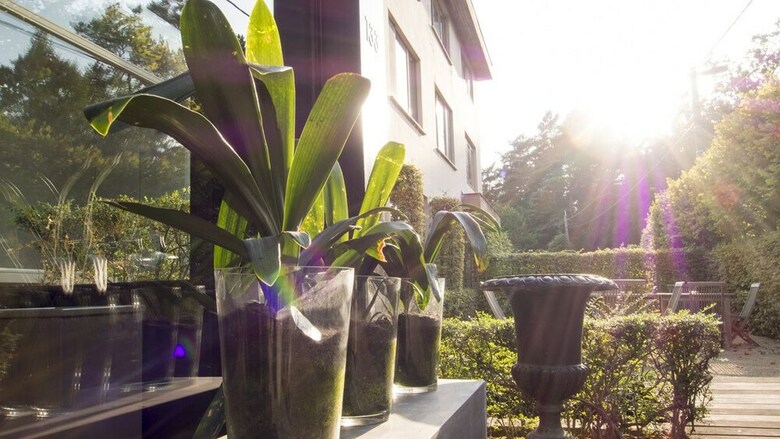 Hotel Domein Martinus