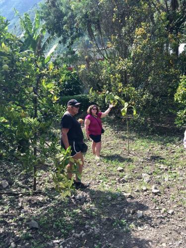 Lodge Caba�as Samay M�gico