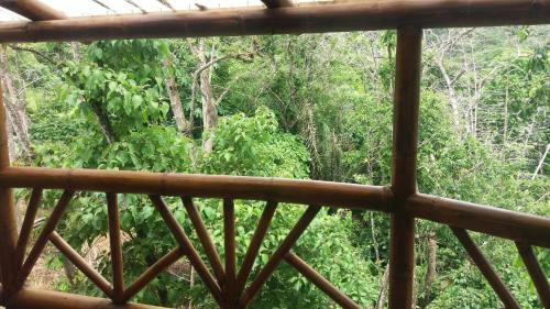 Lodge Hostal Las Heliconias