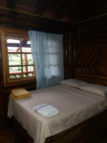 Lodge Hostal Las Heliconias