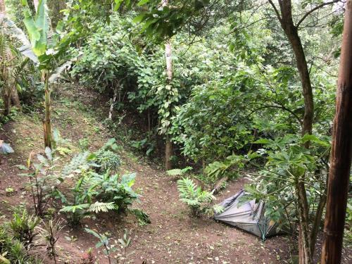 Lodge Hostal Las Heliconias