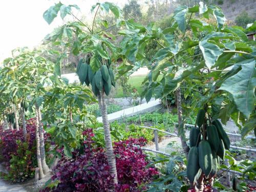 Posada Hosteria Rinc�n De Isabel