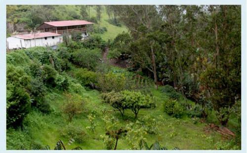 Posada Hosteria Rinc�n De Isabel